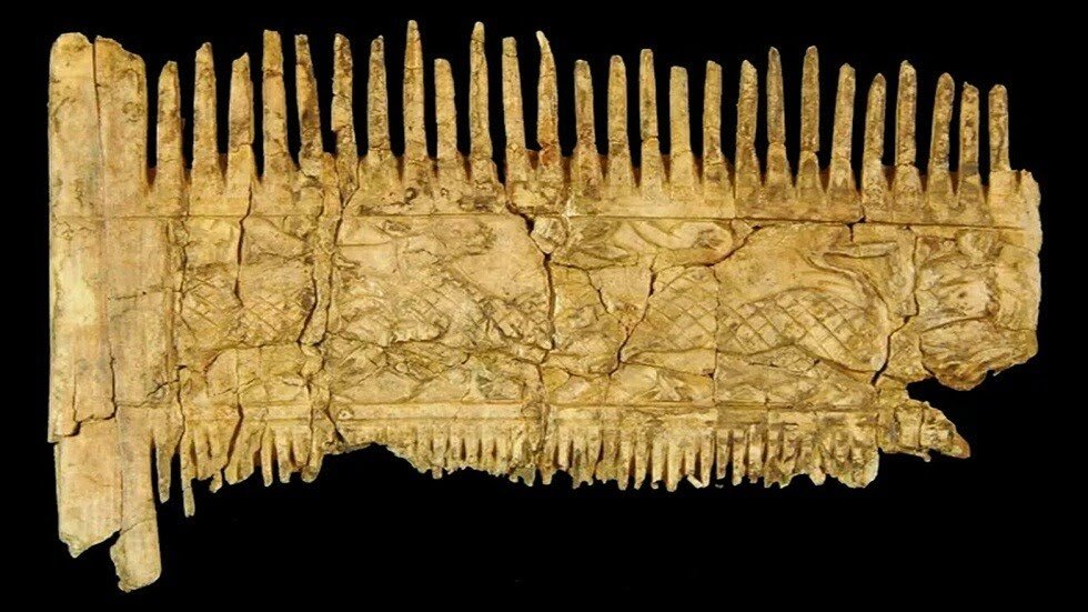 6177c9d64c59b7763502f21a