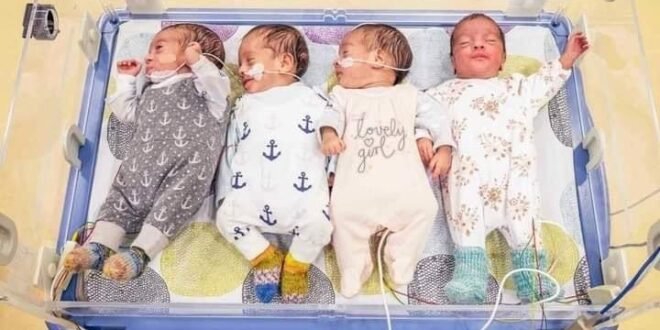 273886793_709213713819811_3897910139477226967_n-660x330