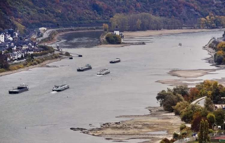 FB_IMG_1660633190144