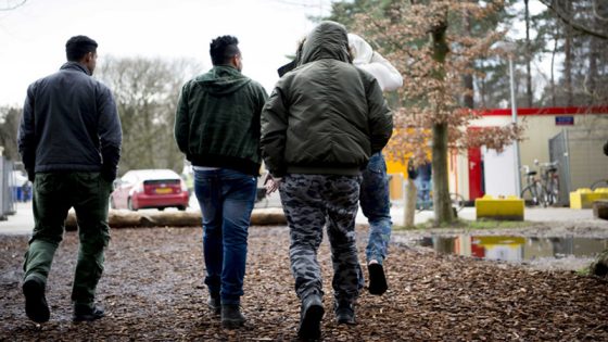هولندا: محكمة تقضي بضرورة منح أقارب اللاجئين تأشيرات دخول