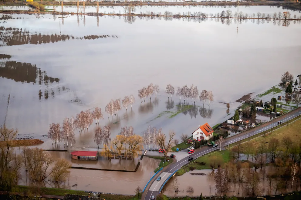 4c94b5e8266709f8cd2603188e0b18d1,83b9990