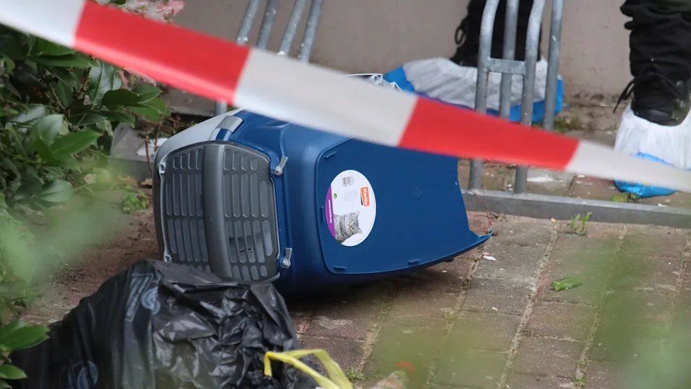 753bc90aeaf9af5089d3bb2b2ffe569e,4e970a5d