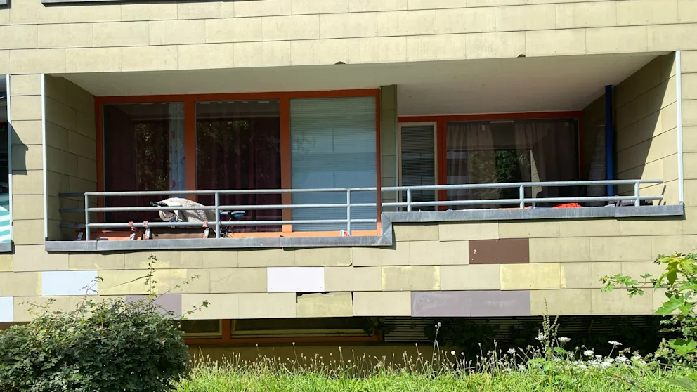 a024bc4b4d3d2aa5c877d4f7692810a6,a256e0af